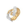 Load image into Gallery viewer, silver and gold ring on a white background