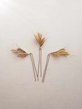 Load image into Gallery viewer, Amarnam bridal hair pins
