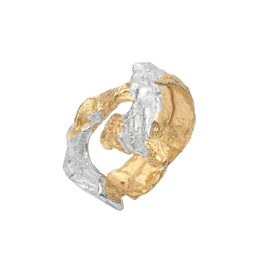 silver and gold ring on a white background