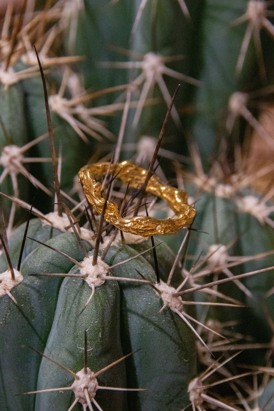 Gold ring on a cactus plant