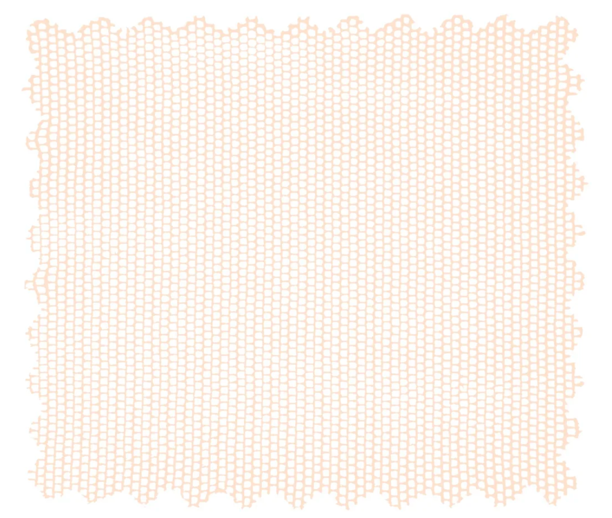 Cornelia James Fabric Swatch