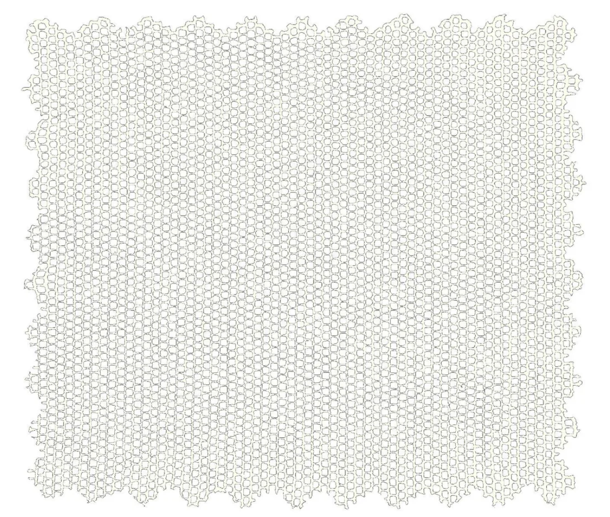 Cornelia James Fabric Swatch